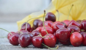 نگهداری گیلاس و آلبالو در سردخانه