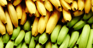 موز و نگهداری آن در سردخانه مواد غذایی