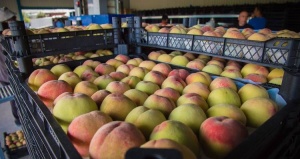 هلو - سردخانه مواد غذایی