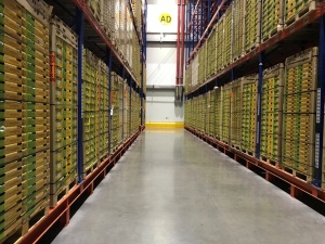 بسته بندی و نگهداری کیوی در سردخانه