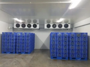 لبنیات در سردخانه