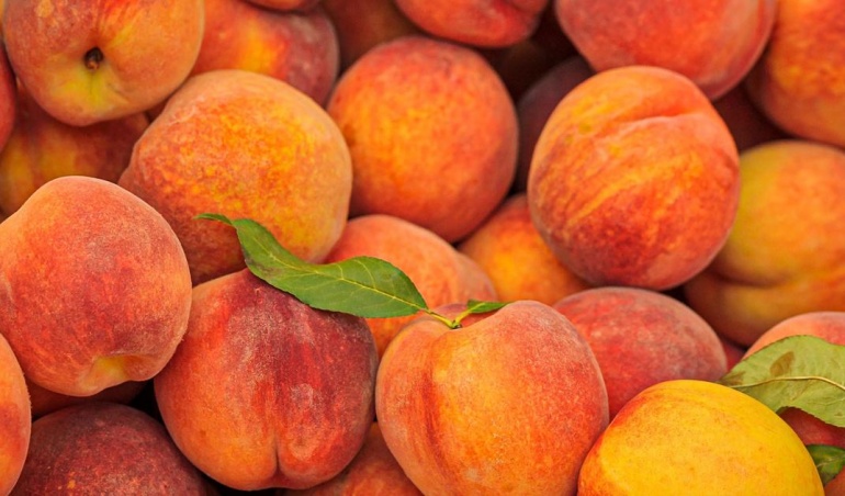 هلو - سردخانه مواد غذایی