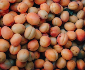 نگهداری زردآلو در سردخانه