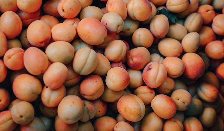 نگهداری زردآلو در سردخانه