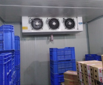 نکات نگهداری مرغ در سردخانه مواد غذایی