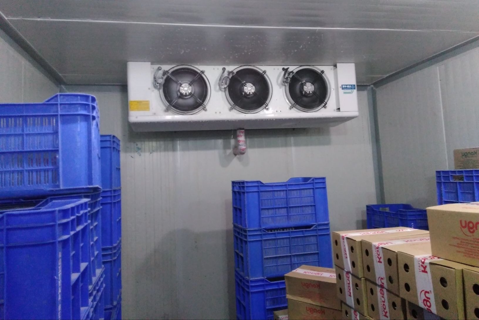 نکات نگهداری مرغ در سردخانه مواد غذایی