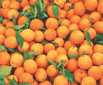 نگهداری پرتقال در سردخانه مواد غذایی