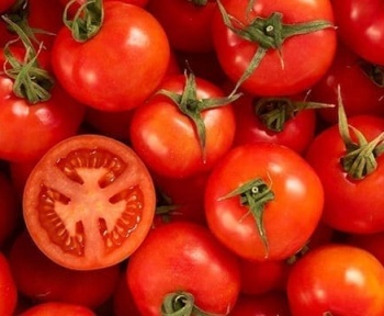 گوجه در سردخانه